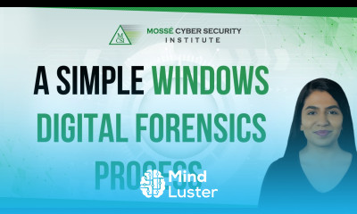 A simple process for performing a digital forensics investigation on Windows