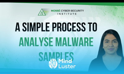 A Simple Process to Analyse Malware Samples with Memory Forensics