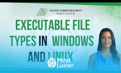 Executable File Types in Windows and Linux