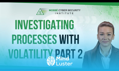 Investigating Processes with Volatility Part 2