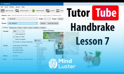 Handbrake Lesson 7 Adjusting Video Resolution and Scaling
