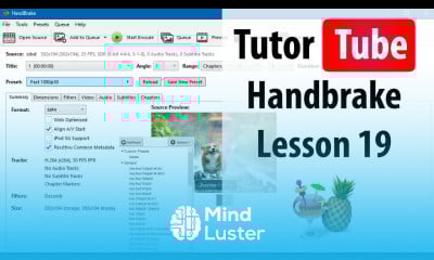 Handbrake Lesson 19 Adjusting Bitrate for Audio