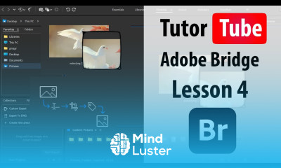 Adobe Bridge Lesson 4 Browse Animation Presets for After Effects