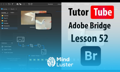 Learn Adobe Bridge Lesson 52 Contact Sheet II - Mind Luster
