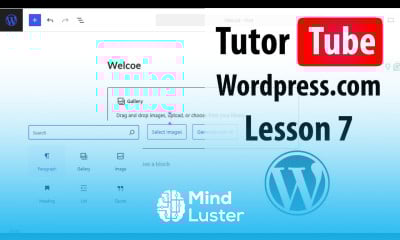 Wordpress com Lesson 7 Social Login Option