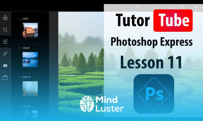 Adobe Photoshop Express Lesson 11 Split Tone and Blur Correction