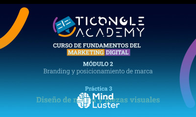 Práctica 3 Diseño de Marca y Piezas visuales