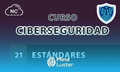 Curso de Ciberseguridad desde 0 Estándares 21