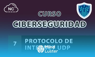Curso de Ciberseguridad desde 0 Protocolo UDP 7