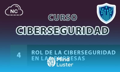 Curso de Ciberseguridad desde 0 Rol de la Ciberseguridad en las Empresas 4