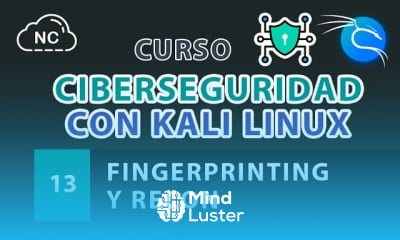 Curso de Ciberseguridad con Kali Linux Fingerprinting y Recon 13