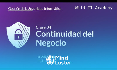 Continuidad del Negocio Gestión de la Seguridad Informática Wild IT Academy