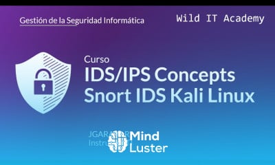IDS IPS Fundamentals Gestión de la Seguridad Informática Wild IT Academy