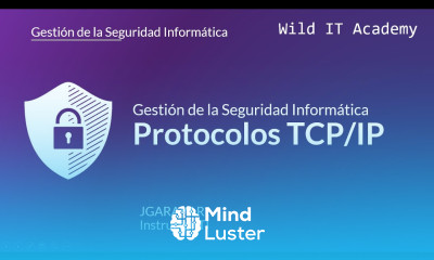 Protocolos TCP IP Gestión de la Seguridad Informática Wild IT Academy