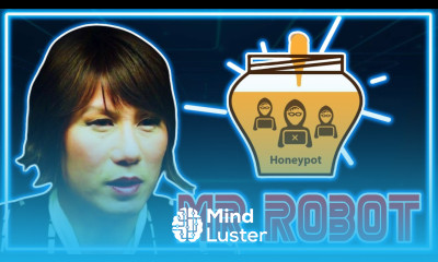 Análisis MR ROBOT WhiteRose Honey Pot y Jaula de Faraday Capítulo 8 Temporada 1 1x08 