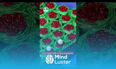 Christmas Tree with Newspaper and Paper Cup shorts christmastree