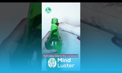 Portable Christmas Trees With Recycle Glass Bottles shorts christmastree diytree