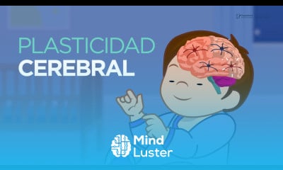Curso de Promotor del Desarrollo Infantil 1