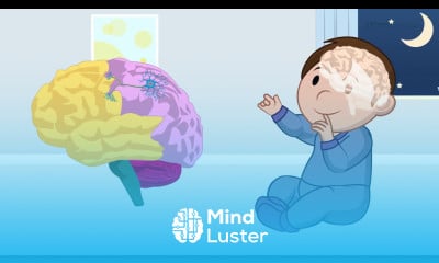 Curso de Promotor del Desarrollo Infantil 10