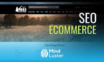 SEO Ecommerce Buenas prácticas de SEO para Ecommerce