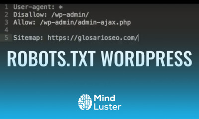 Robots txt para WordPress Probar Robots txt en Search Console y Crearlo en WordPress
