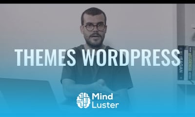 Cómo Elegir un Theme o Plantilla SEO en WordPress