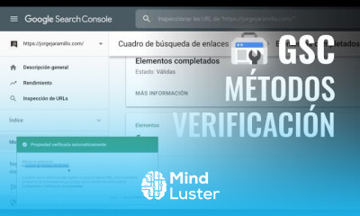 Métodos de Instalación de Google Search Console Verificación con Dominio GoogleSearchConsole