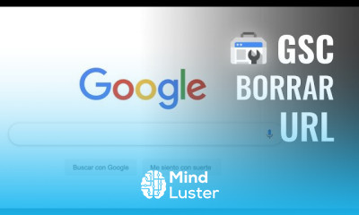 Eliminar una URL de Google ¿Cómo borrar una URL del Índice de Google GoogleSearchConsole