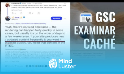 Examinar Problemas de Renderizado y Caché en Google GoogleSearchConsole
