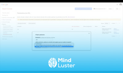 Parámetros de URL en Google Search Console para evitar Contenido Duplicado GoogleSearchConsole