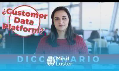 ¿Qué es un Customer Data Platform o CDP – Diccionario de Marketing