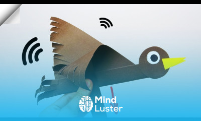 Paper bird flying DIY paper toys Easy paper birds