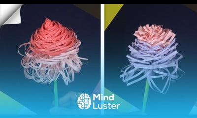 How to Make Flower with Paper Easy Paper Flowers DIY paper flowers