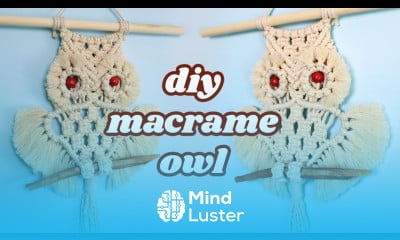 Easy Macrame Owl Wall Hanging Tutorial
