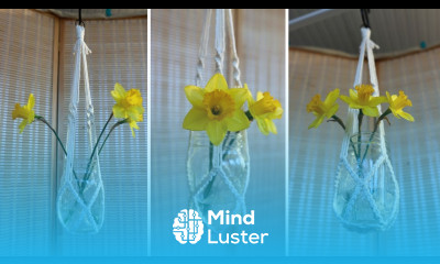 Macrame Mason Jar Holder  Propagation Flowers 