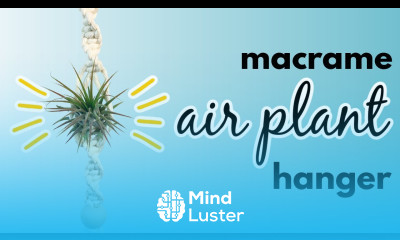 Macrame Air Plant Hanger DIY