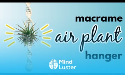 Macrame Air Plant Hanger DIY