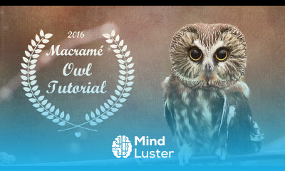 Beaded Macramé Owl Tutorial