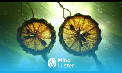 DRIED CITRUS ORNAMENTS IN MACRAME STYLE