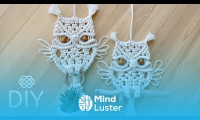 MACRAME OWL Plant Hanger  Flower Pot Holder DIY