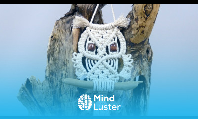 Macrame Owl Wall Hanging Tutorial For Beginners Beyond