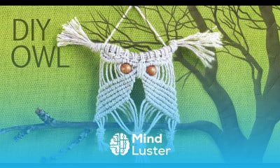 Make Easy Macrame Owl Wall Hanger Tutorial