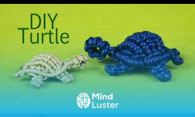 How to Macramé Turtle Tortoise Tortue Tortuga Tartaruga