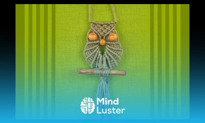 Macrame Owl Makramee Eule Búho Макраме сова