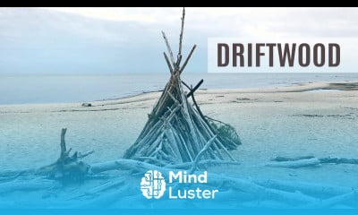 DRIFTWOOD FOR MACRAME