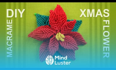 How to make Christmas Flower Poinsettia