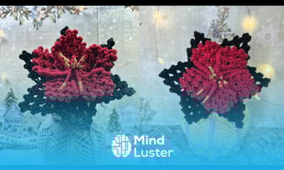 DIY Macramé Christmas Flower Easy Holiday Decoration Tutorial Beginner Friendly