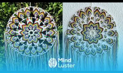 Macrame Mandala Dream Catcher Peacock Pattern 