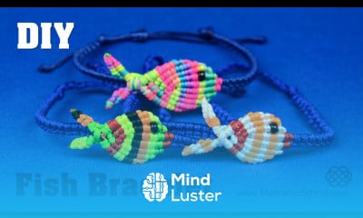 Colorful Fish Bracelet Tutorial Macrame School