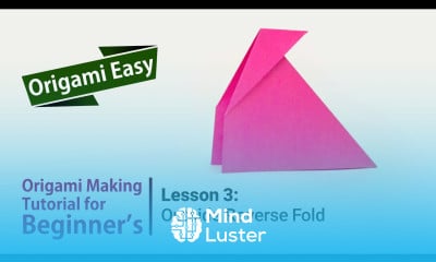 Origami Basics Lesson 3 Outside Reverse Fold